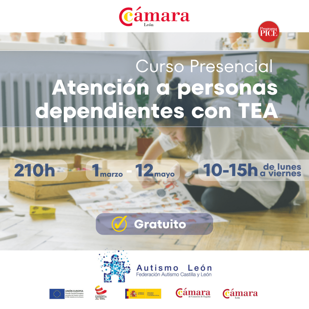 Lee más sobre el artículo Curso PICE: Atención a personas dependientes con TEA